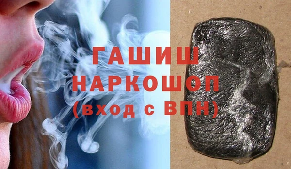 гашик Тайга