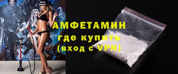 гашик Тайга