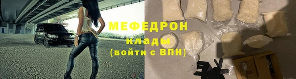 гашик Тайга
