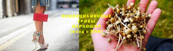 твердый Сясьстрой