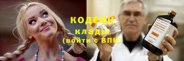 твердый Сясьстрой