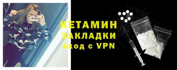 твердый Сясьстрой