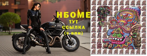 твердый Сясьстрой
