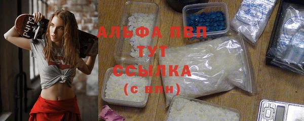 гашик Тайга
