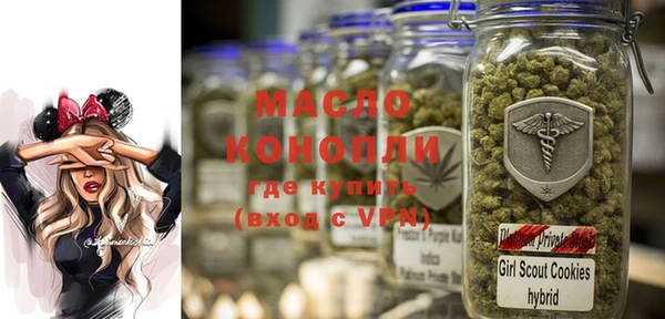 гашик Тайга