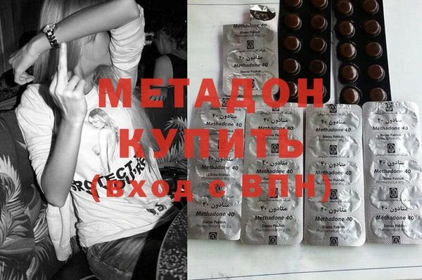 гашик Тайга