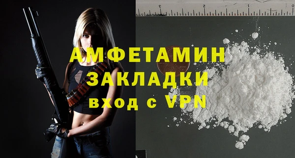 гашик Тайга