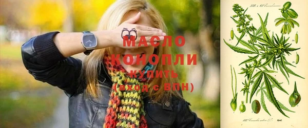 гашик Тайга