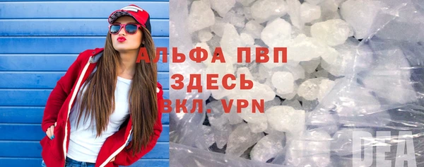 гашик Тайга