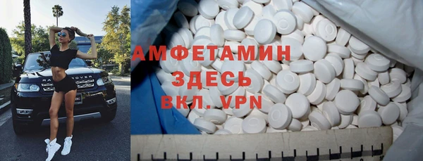твердый Сясьстрой