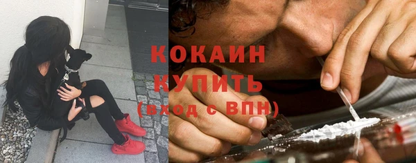 твердый Сясьстрой